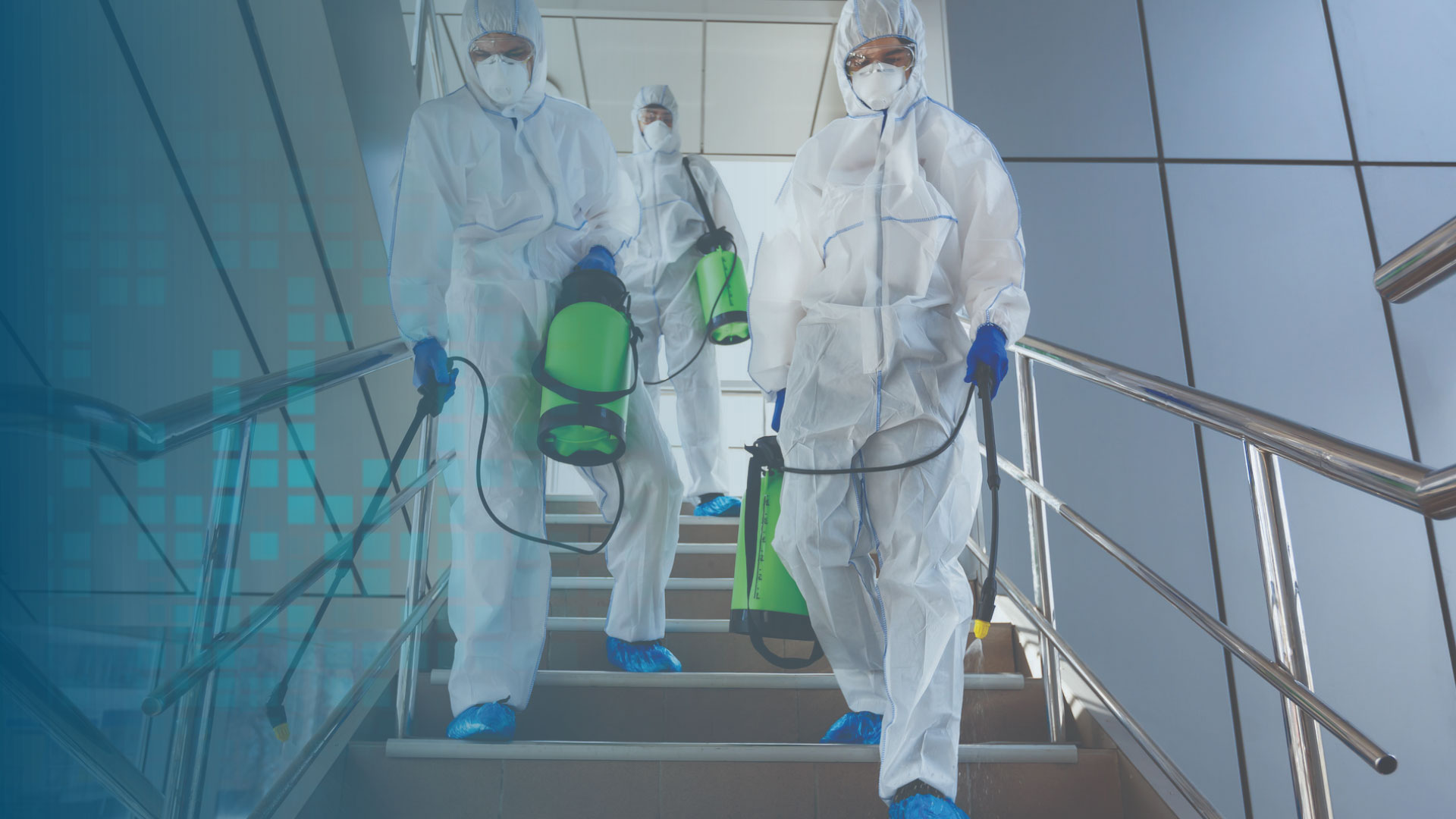 Desinfección patógena