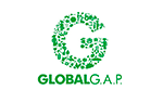 Logotipo GLOBAL G A.P.